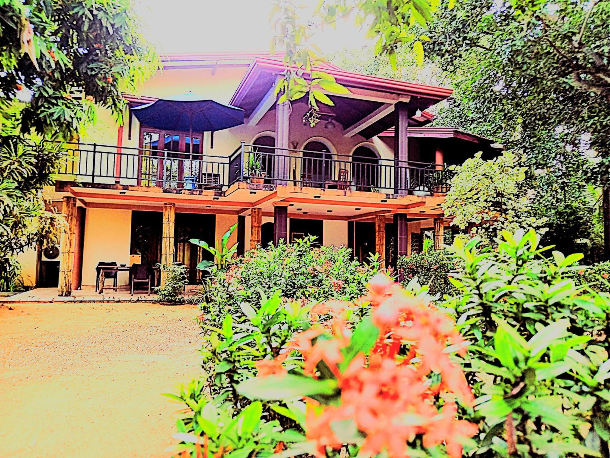 Leopard City Hostel Yala 티사마하라마 외부 사진
