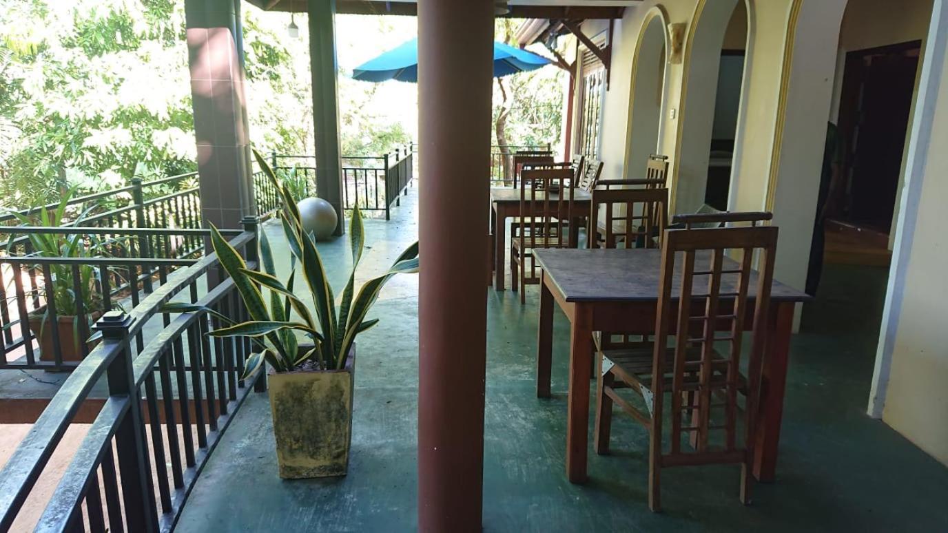 Leopard City Hostel Yala 티사마하라마 외부 사진