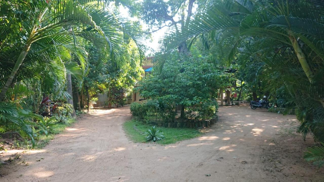 Leopard City Hostel Yala 티사마하라마 외부 사진