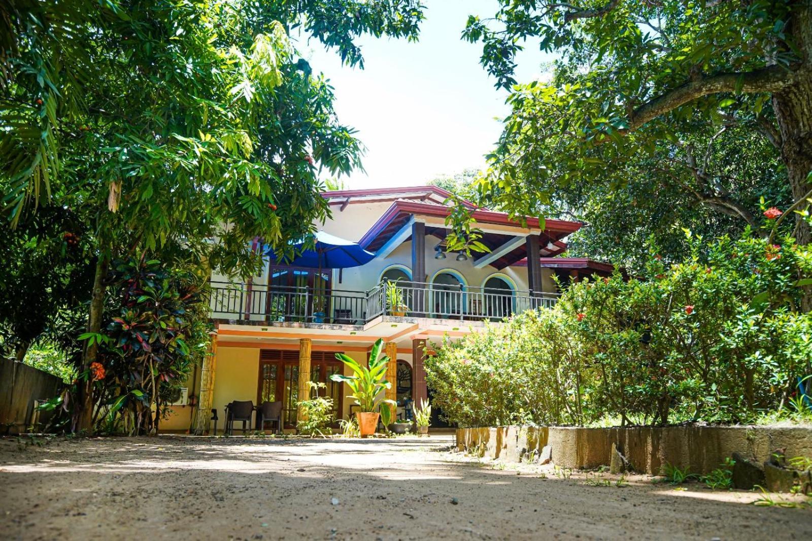 Leopard City Hostel Yala 티사마하라마 외부 사진